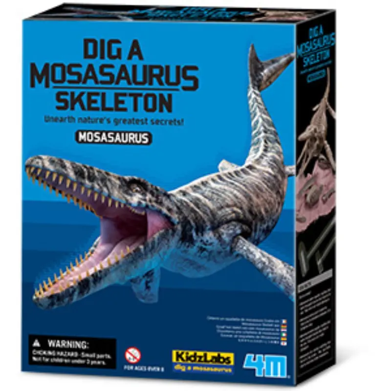 4M Excavate A Mosasaurus-Skeleton 1