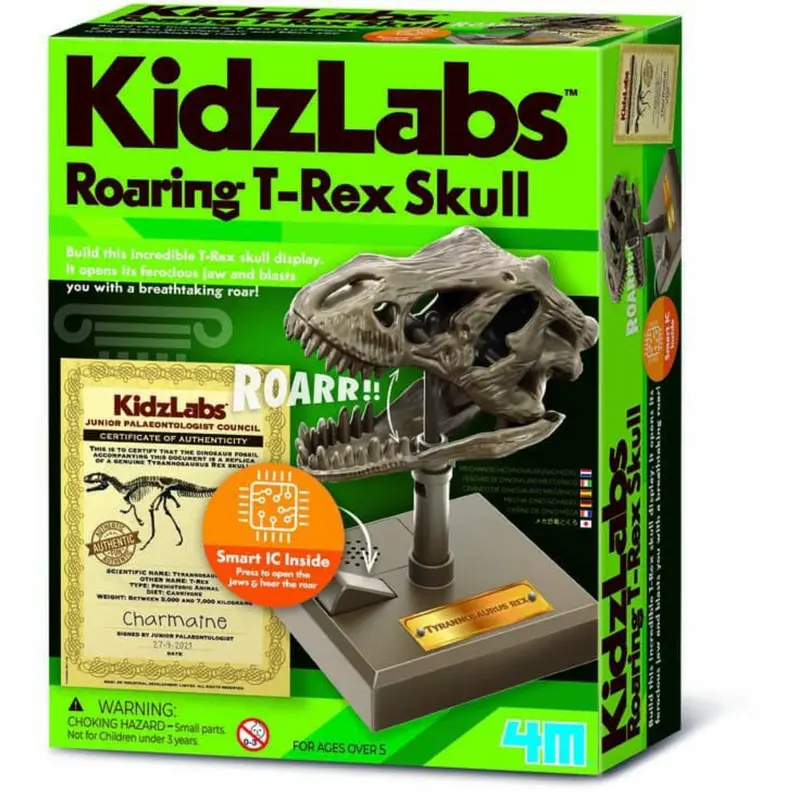4M Kidzrobotix / Roaring T-Rex Skull 1