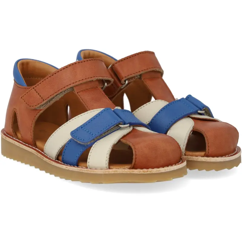 Angulus Tan/Oat/Cobolt Colourblock Lædersandal 1