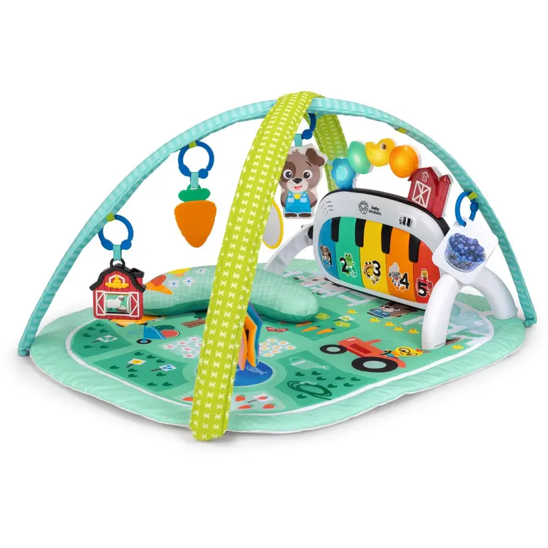 Baby Einstein 4-In-1 Kickin’ Tunes™ Musical Meadow™ Music & Language Discovery Gym 1