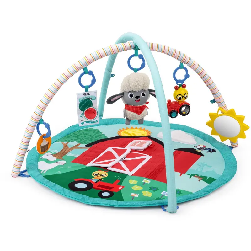 Baby Einstein Happy Harvest™ Touch & Feel Activity Gym 1