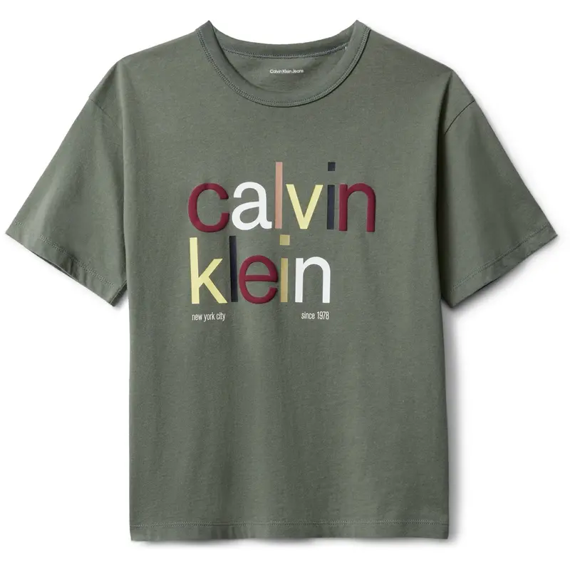 Calvin Klein Thyme Color Logo Graphic Ss T-Shirt 1
