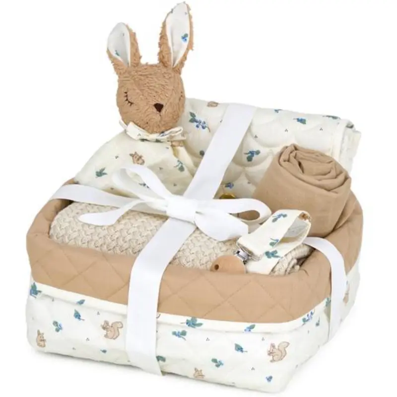 Cam Cam Copenhagen Blueberries Babyshower Gift Basket 1
