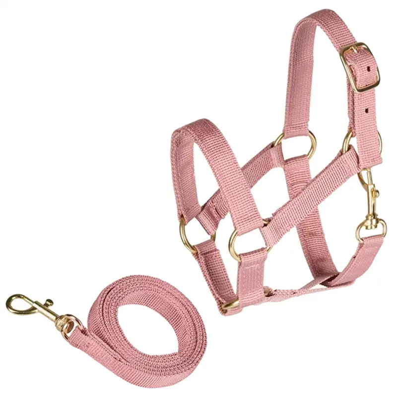 Cheval Roi Halter & Lead Antique Rose 1