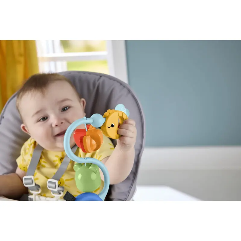 Fisher-Price® Balanced Beginnings Suction Cup Toy 2