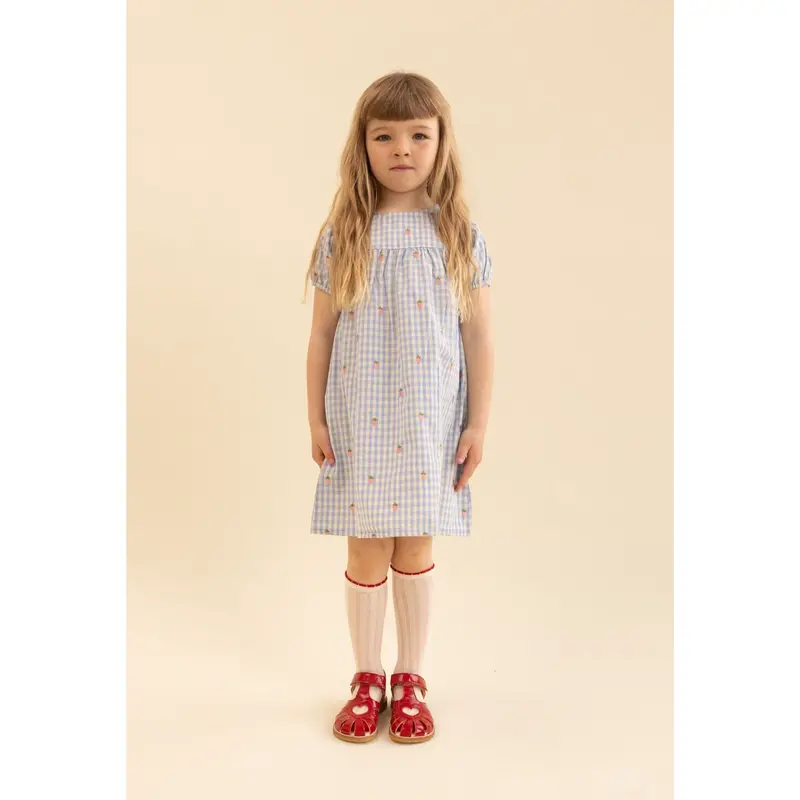 Flöss Sky Berry Gingham Mille Ss Dress 2