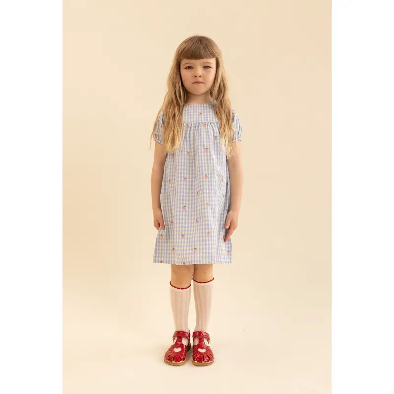 Flöss Sky Berry Gingham Mille Ss Dress 4