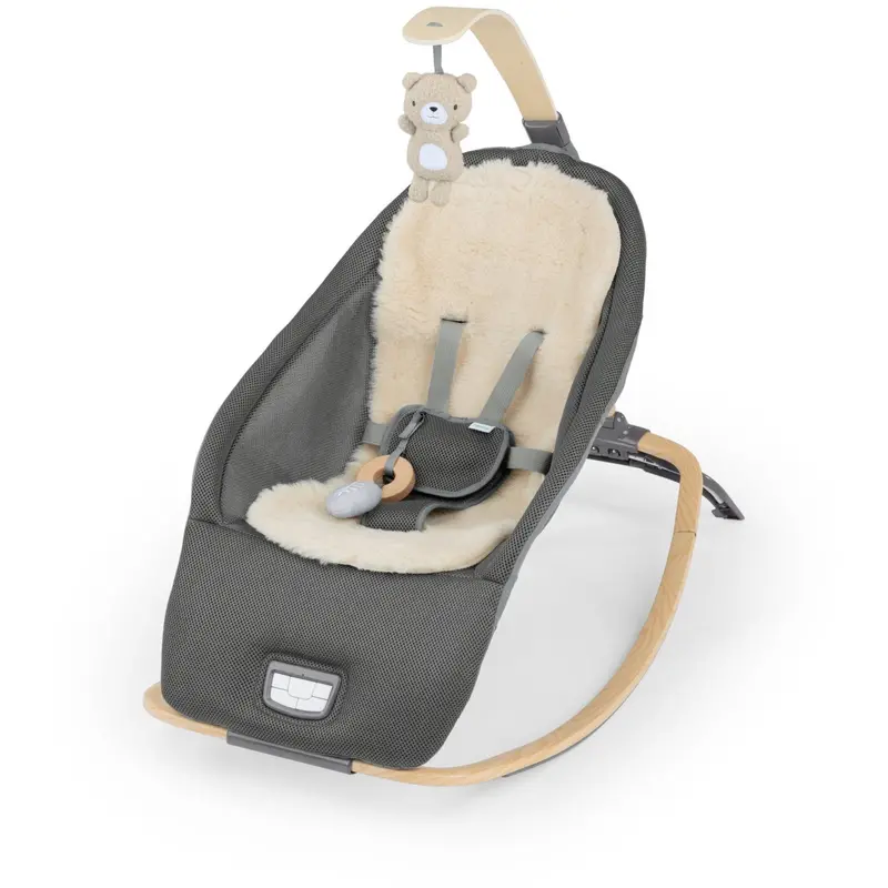Ingenuity Every Season™ Rocking Seat - Wesley™ 1