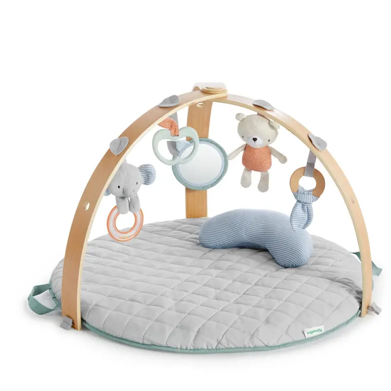 Ingenuity Grey Reversable Baby Gym 1