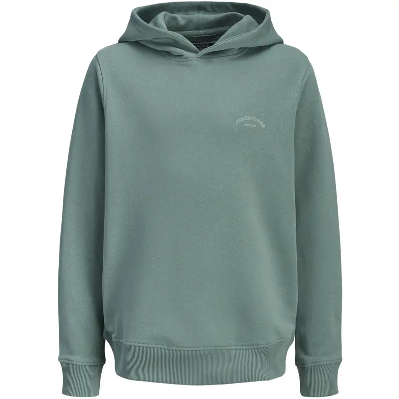 Jack & Jones Junior Mineral Blue Jjcollege Logo Sweat Hood Jnr 1