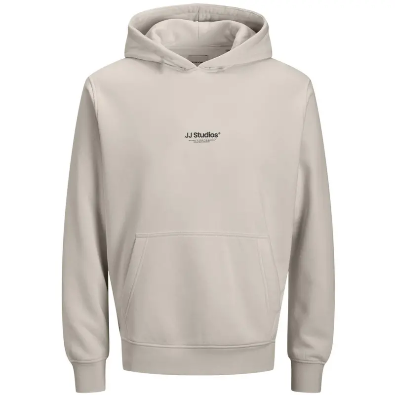 Jack & Jones Junior Moonbeam Jjesoho Sweat Hood Noos Jnr 1