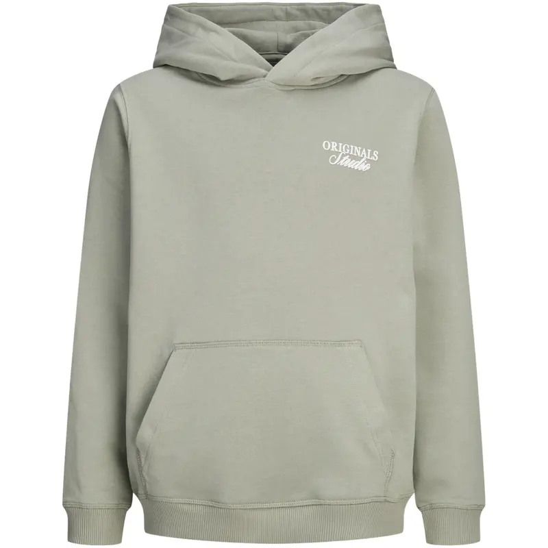 Jack & Jones Junior Seagrass Jornorrebro Typo Back Sweat Hood Sn Jnr 1