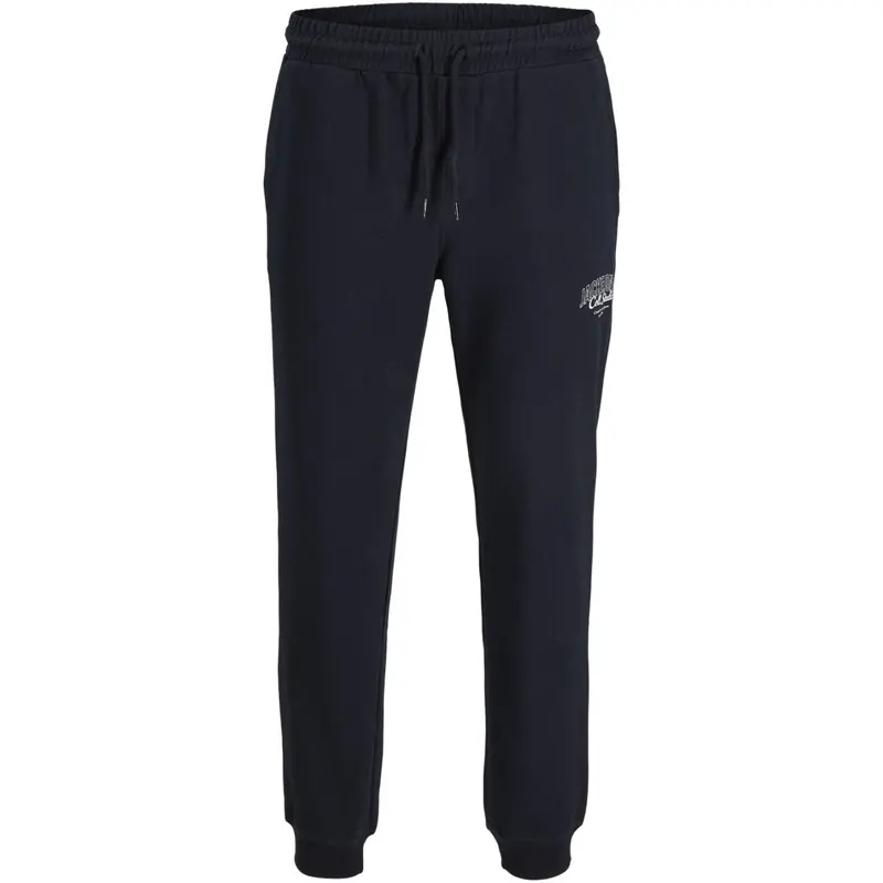 Jack & Jones Junior Sky Captain Jpstgordon Makoto Sweat Pants Jnr 1