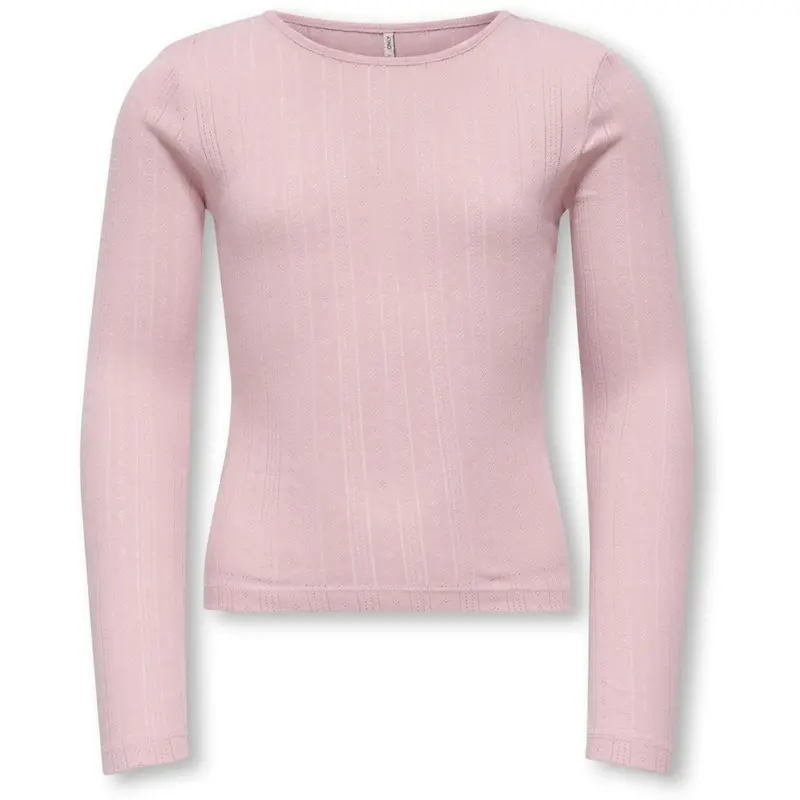 Kids Only Bleached Mauve Kogsalsa Life L/S O-Neck Top Jrs 1