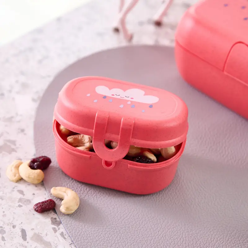 Koziol Organic Coral Red Snackbox Pascal Mini Dreams 2