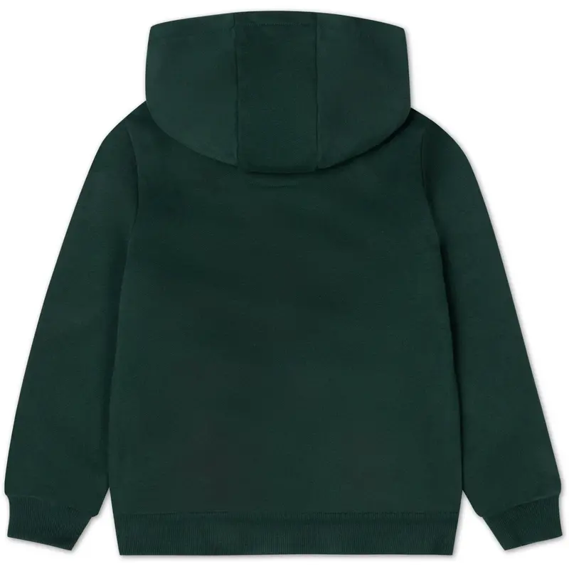 Lacoste Sinople Core Fleece Pullover Hoodie 3