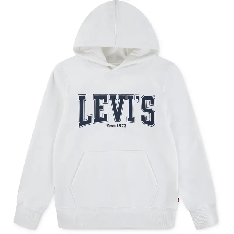 Levi's Blanc De Blanc The Great Highway Hoodie 1