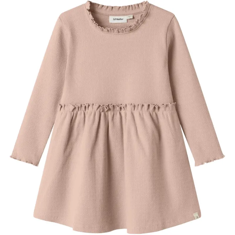 Lil'atelier Cameo Rose Nmfnora Ls Dress Lil 1