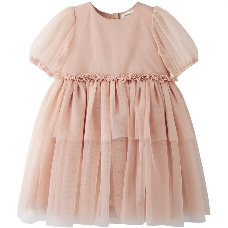 Lil'atelier Misty Rose Nmfliberty Ss Tulle Dress Lil 1