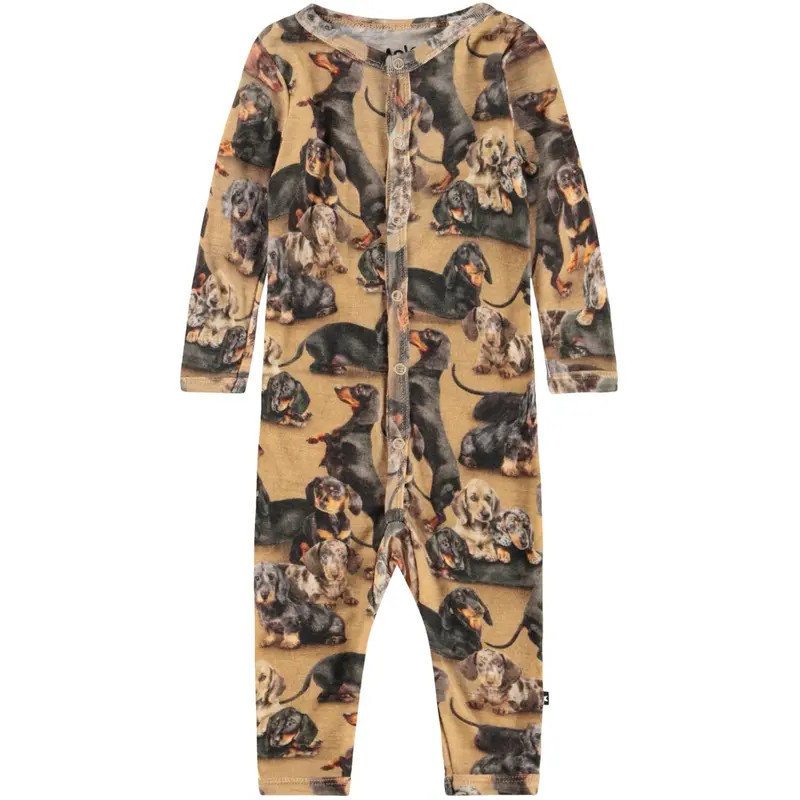 Molo Dachshunds Fahari Wool Bodysuits Jersey 1