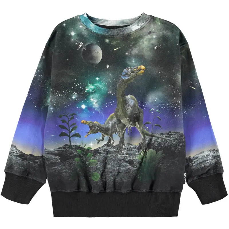 Molo Dino Drama Mattis Sweatshirt 1