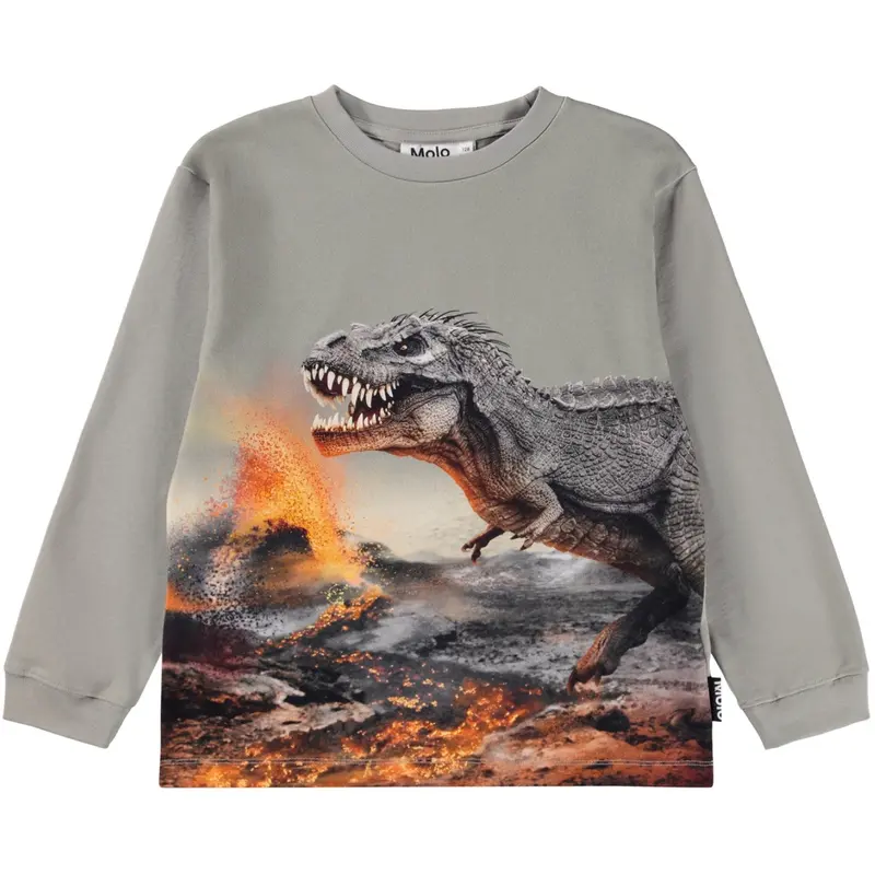 Molo Dinosaur Fog Rube Blouse 1
