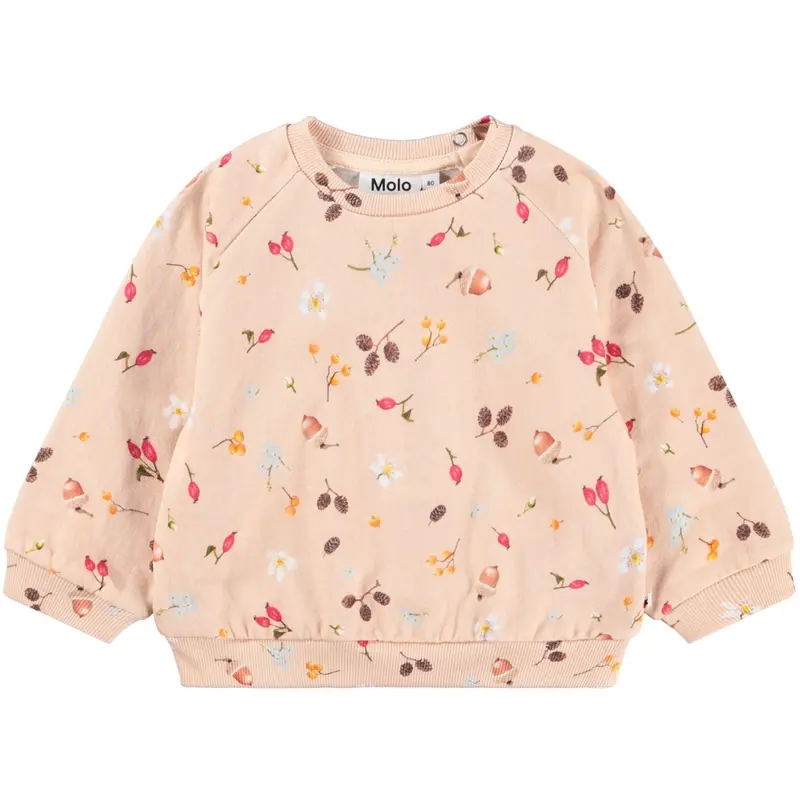 Molo Foraging Rose Disc Sweatshirt 1