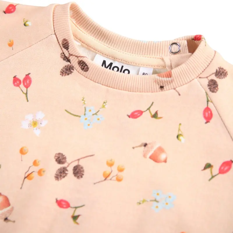 Molo Foraging Rose Disc Sweatshirt 4