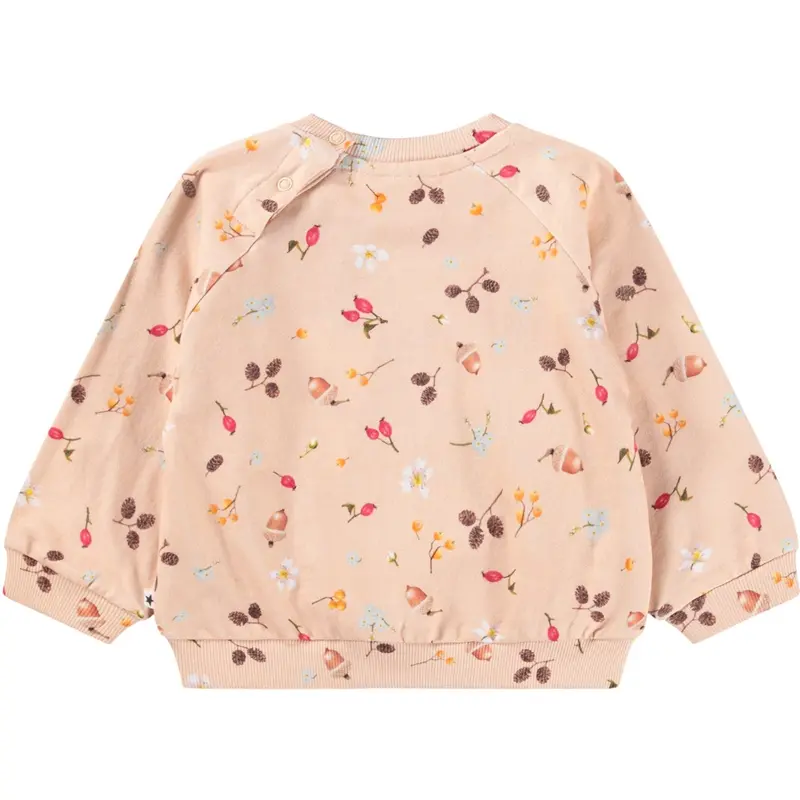 Molo Foraging Rose Disc Sweatshirt 5