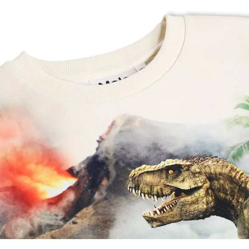 Molo Hot Spring Dinos Miksi Sweatpants 5