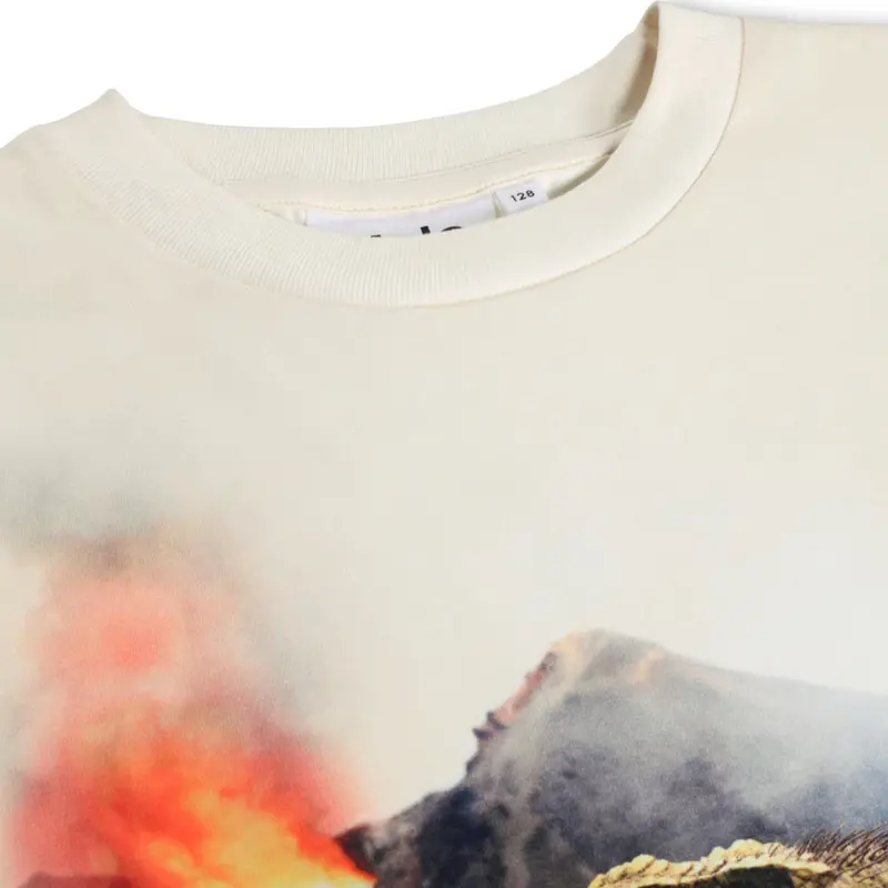 Molo Hot Spring Dinos Riley T-Shirt 2