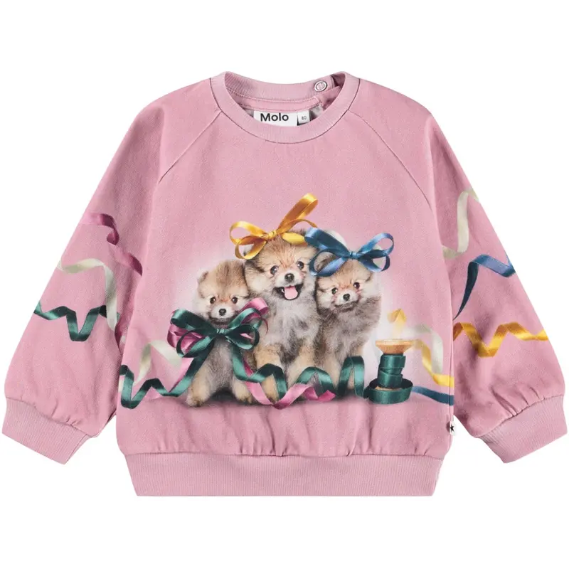 Molo Ribbon Play Disc Sweatshirt 1