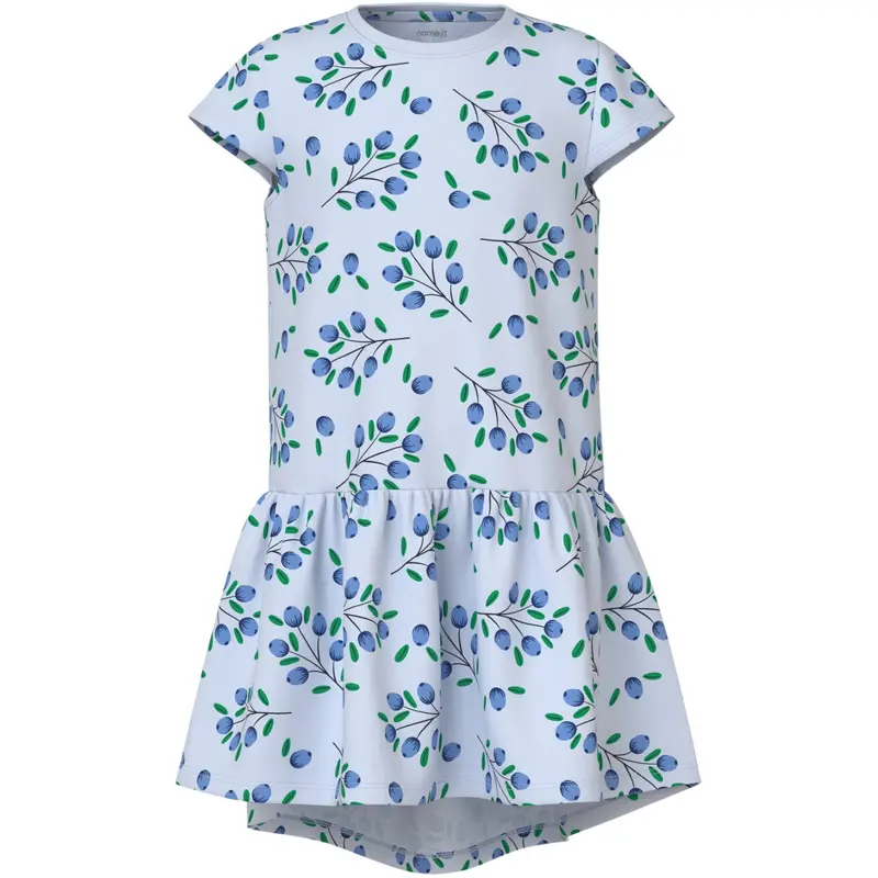 Name It Ancient Water Blueberry Nkfvigga Capsl Dress 1