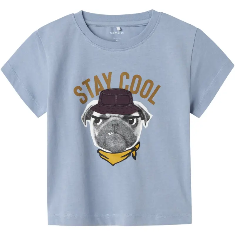 Name It Dusty Blue Nmmkai Ss Nreg Top Box 1