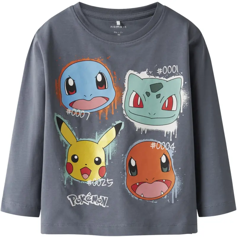 Name It Flint Stone Nmmnor Pokemon Ls Nreg Top Box Sky 1