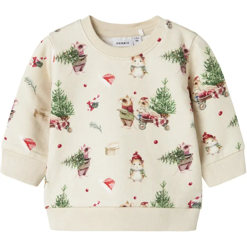 Name It Peyote Melange Nbnrenu Ls Sweat Bru 1