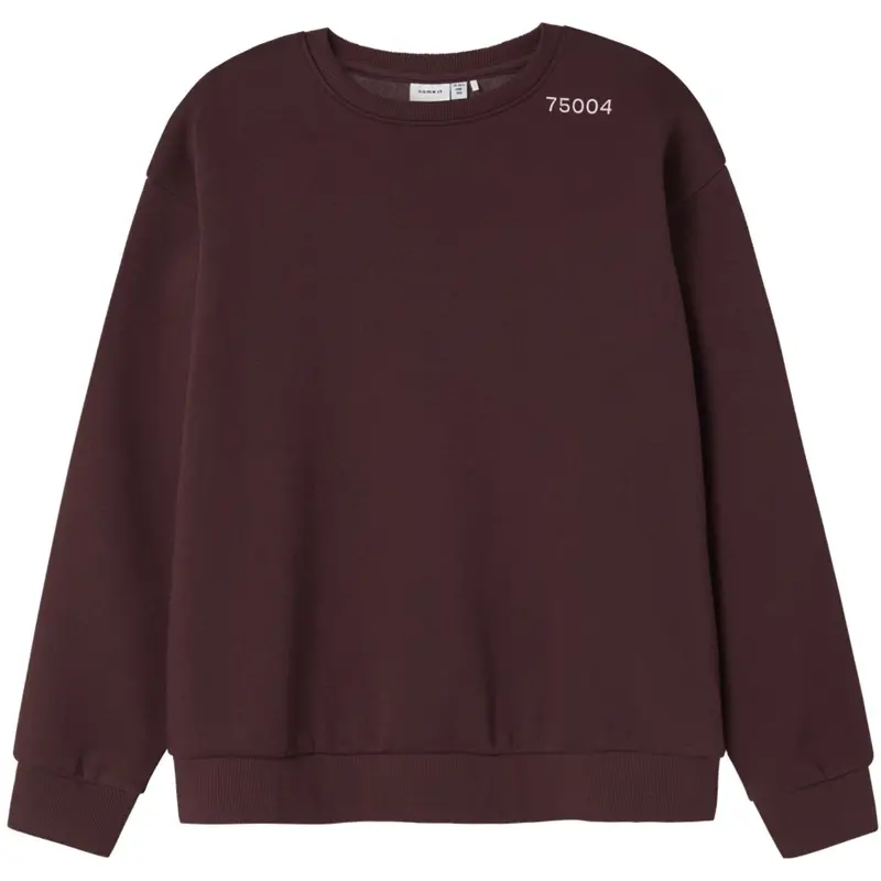Name It Sassafras Nkfodika Ls Rlx Sweat Bru Bf 1
