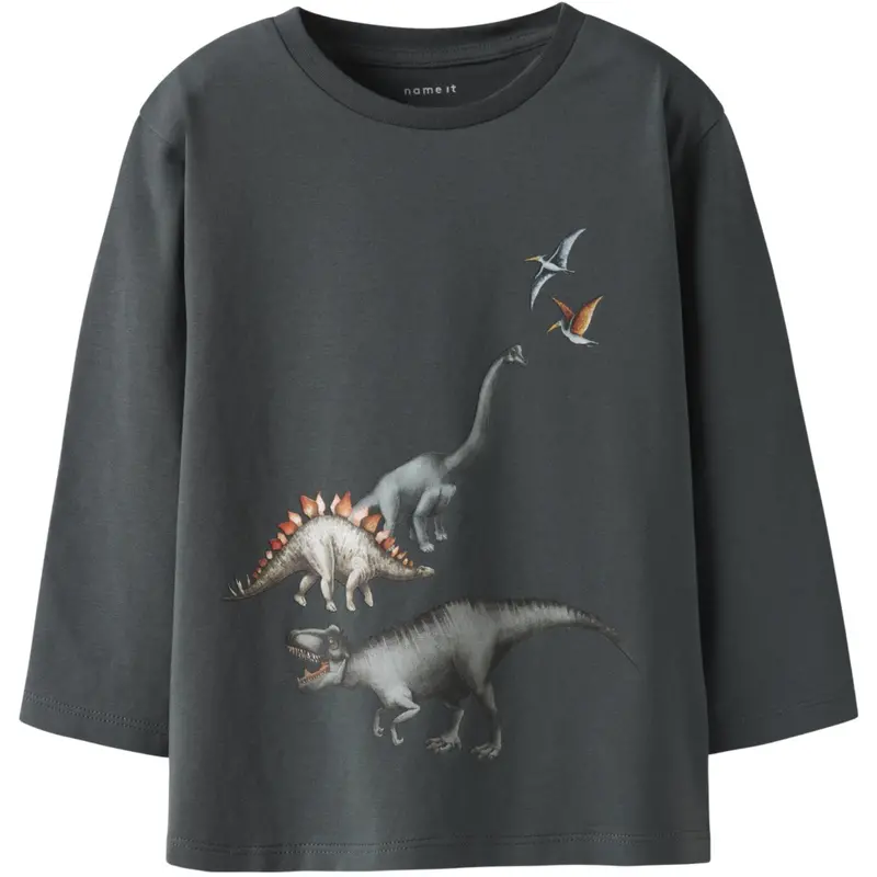 Name It Urban Chic Nmmbart Ls Nreg Top Box 1