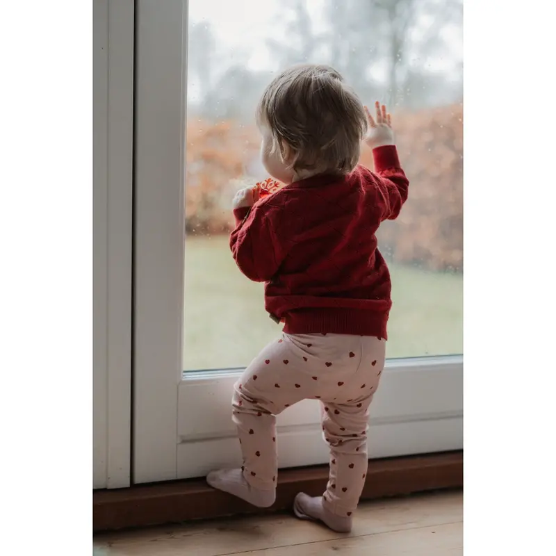 Petit Piao Heart Legging Printed 4