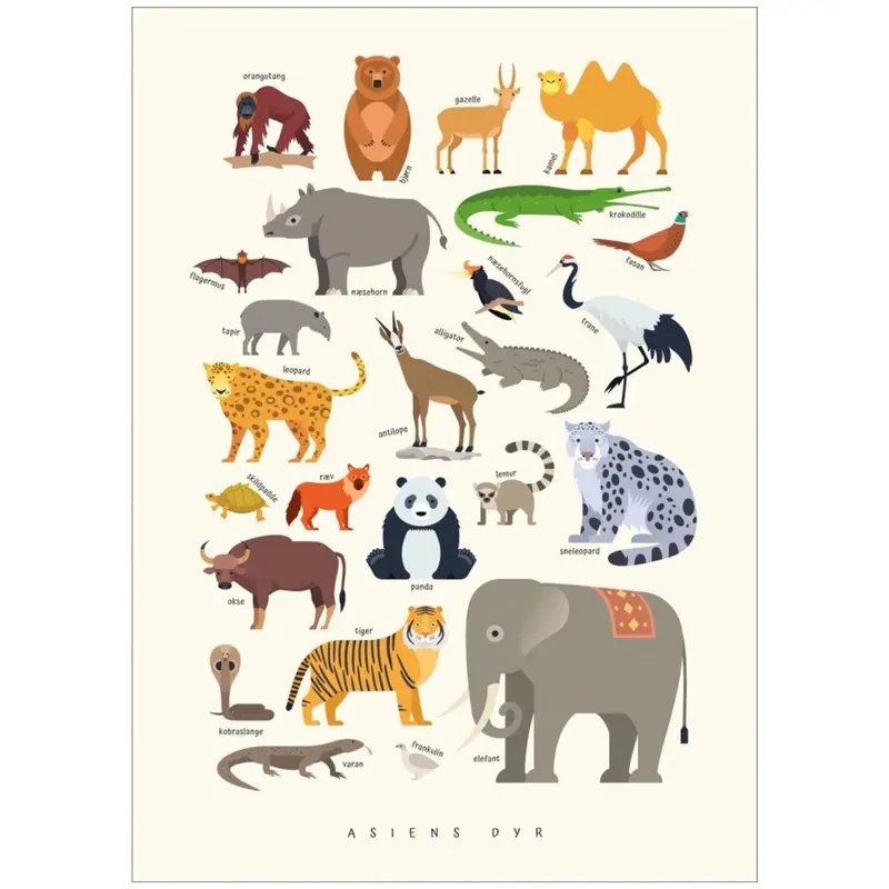 Poster & Frame Citatplakat - Asiens Dyr – Børneplakat 1