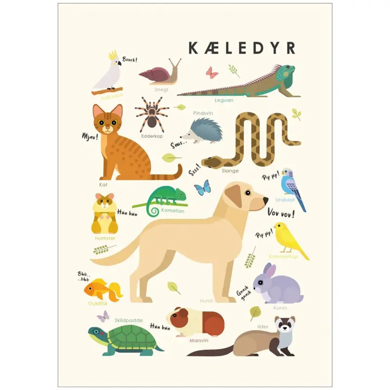 Poster & Frame Citatplakat - Kæledyr – Børneplakat 1