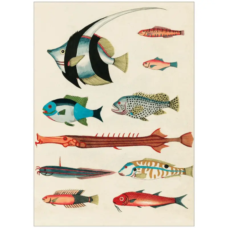 Poster & Frame Louis Renard - Colorful Fishes Lll 1
