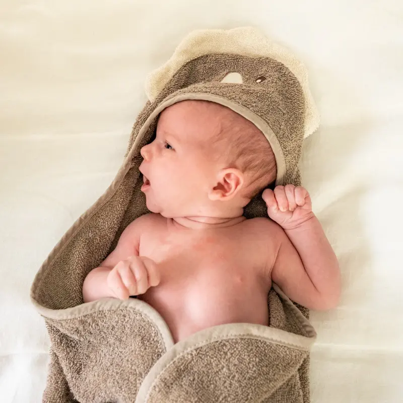 That's Mine Dino Moly Towel Swaddle 2
