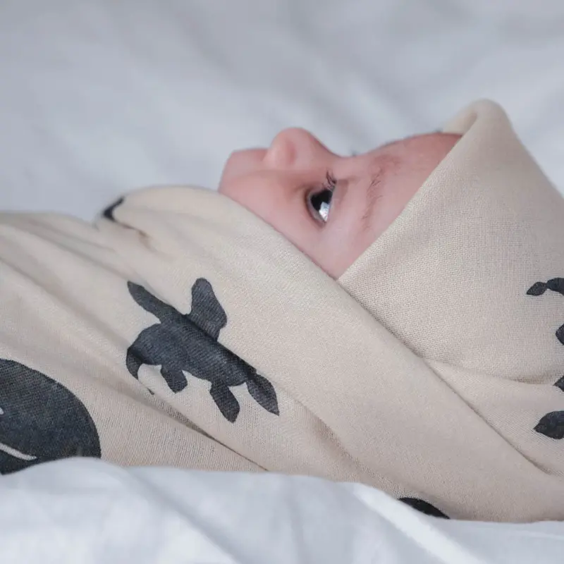 That's Mine Mono Dino Jana Muslin Swaddle 2