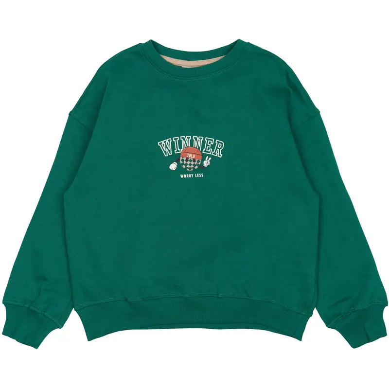 The New Alpine Green Paul Oversize Sweatshirt 1