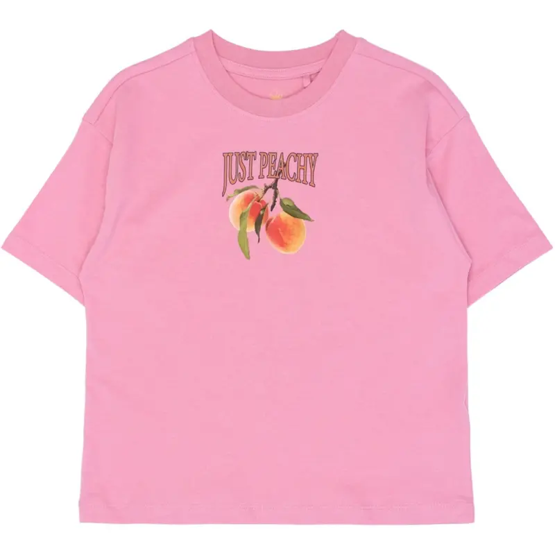 The New Cashmere Rose Tntenna Os S_S Tee 1