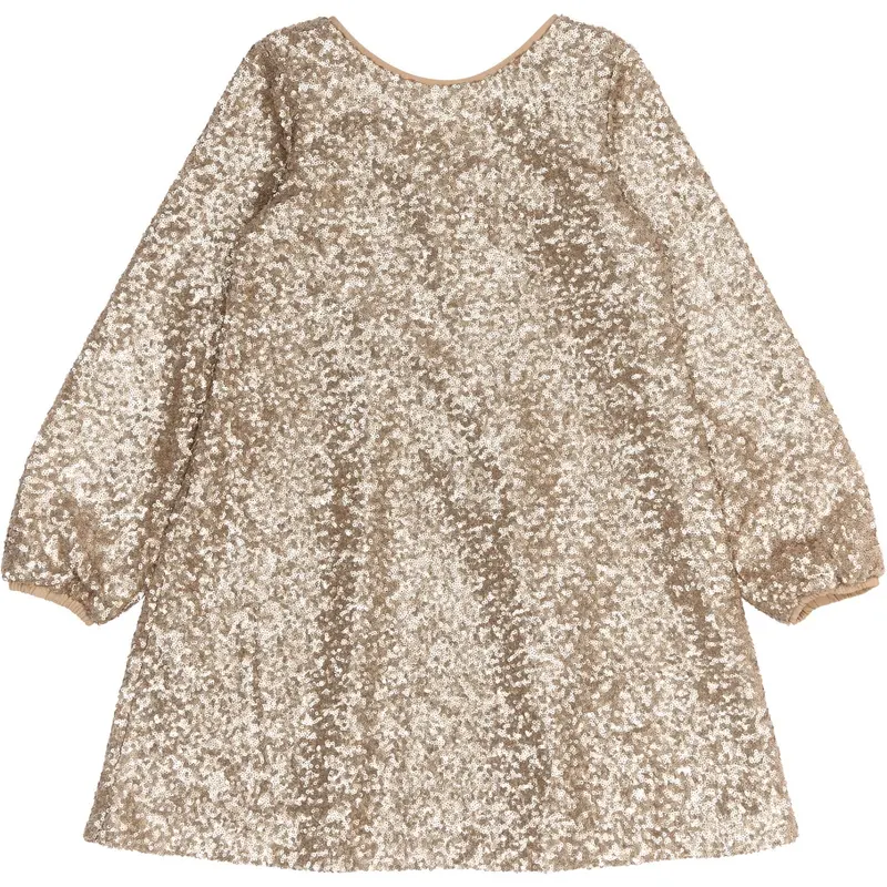 The New Gold Rupa L_S Sequin Dress 1