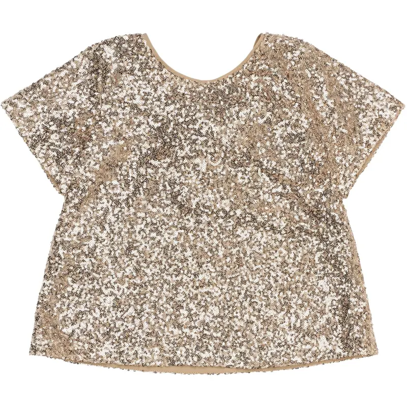 The New Gold Rupa S_S Sequin Top 1
