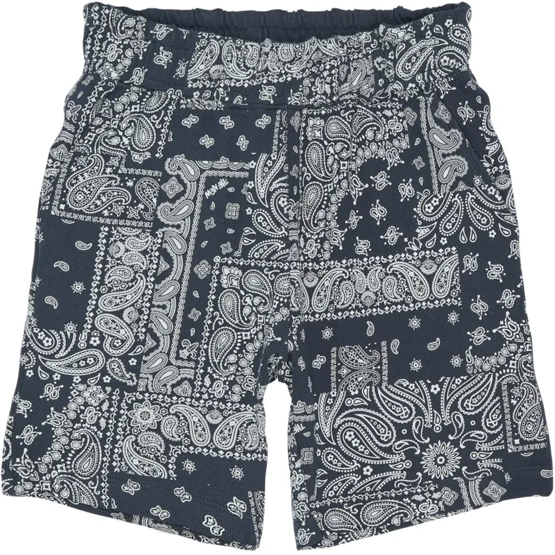 The New Navy Blazer Aop Tnsixten Shorts 1