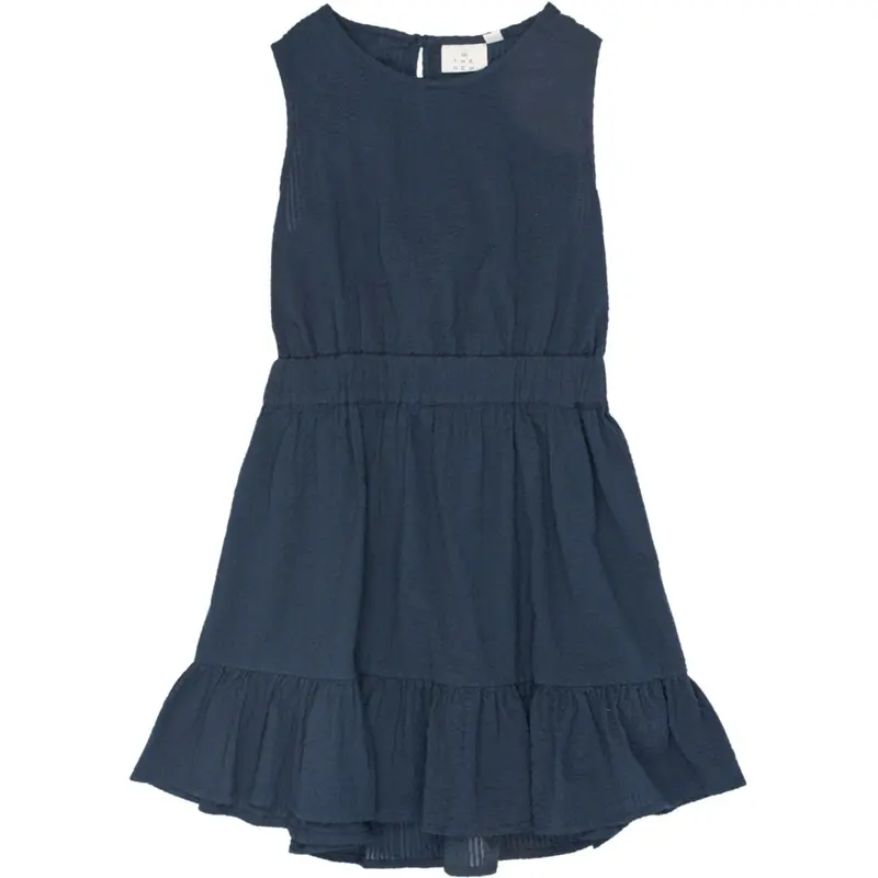 The New Navy Blazer Tntessa S_L Dress 1